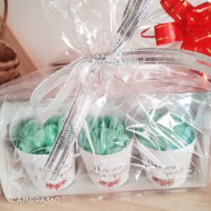 Kit suculentas de sabonetes lembrancinhas - Imagem 4
