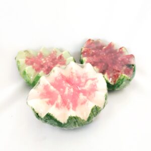 Fruta Goiaba meio de sabonete - Imagem 3