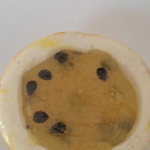 Fruta Maracujá meio de sabonete