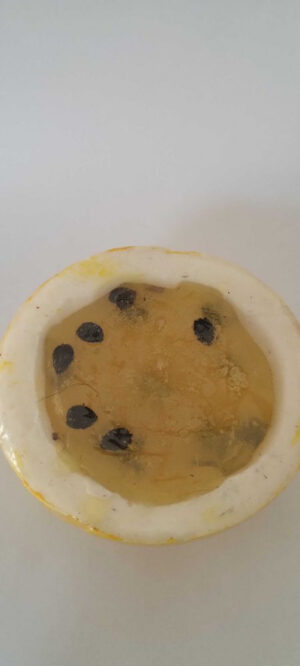 Fruta Maracujá meio de sabonete